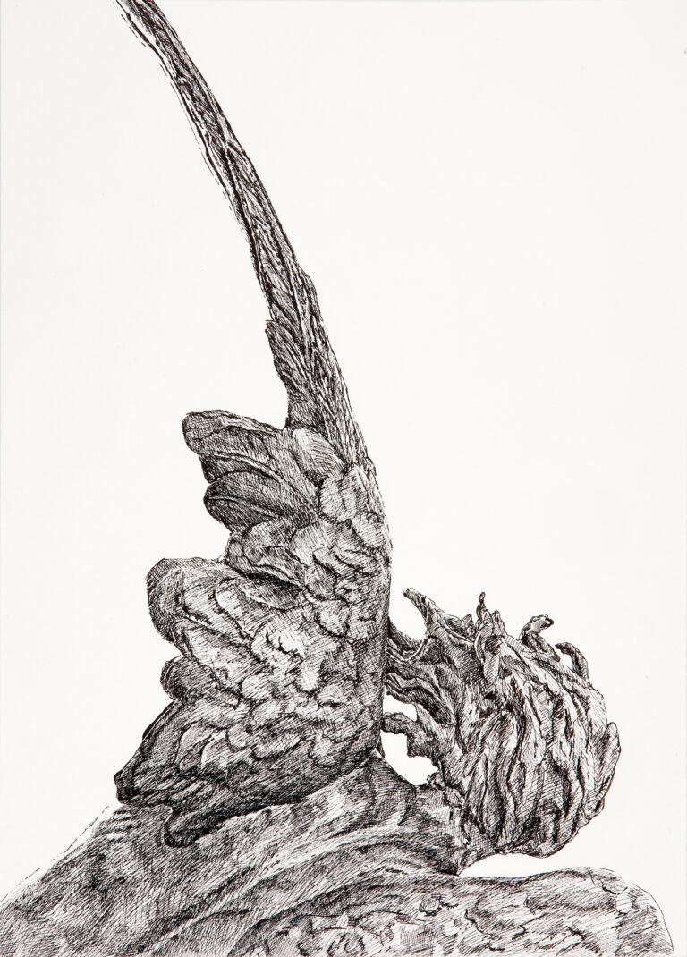 Miguel Tadeo. Reverso del Ángel Caído de Bellver, 2018. Lápiz y tinta sobre cartón