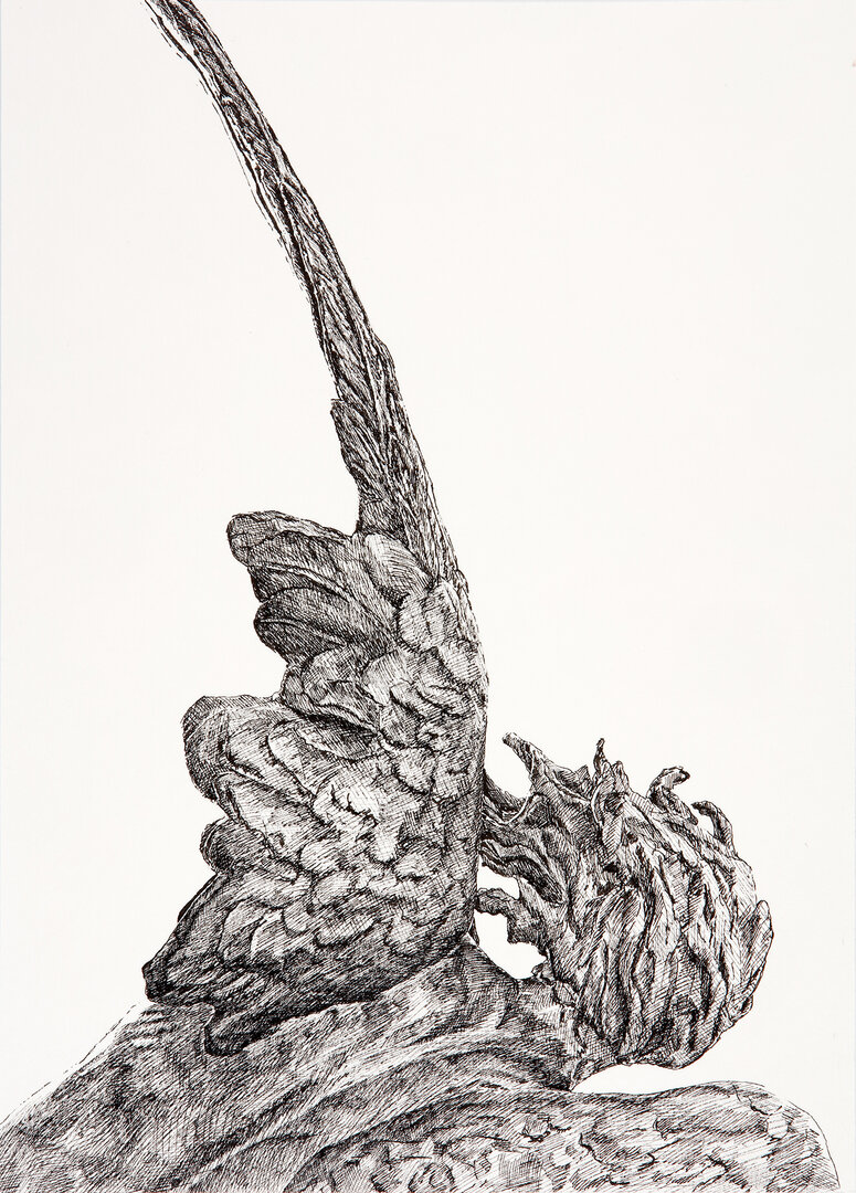 Miguel Tadeo. Reverso del Ángel Caído de Bellver, 2017. Lápiz y tinta sobre cartón