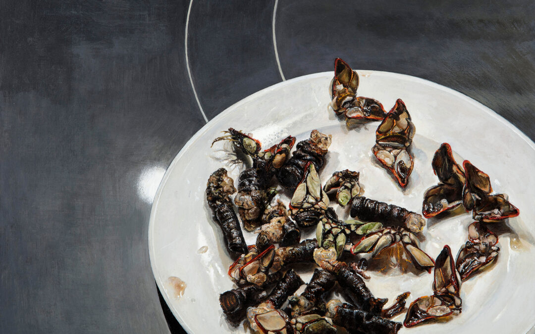 Percebes por Miguel Tadeo