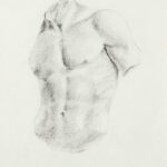 Miguel Tadeo. El torso de Belbedere erguido, 2014. Lápiz sobre papel