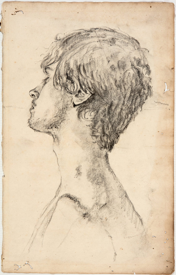 Miguel Tadeo. Fridericiani, 2015. Carboncillo sobre papel del siglo XVII