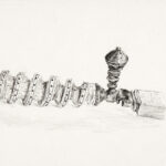 Miguel Tadeo. Mango misericordia, 2018. Lápiz sobre cartón