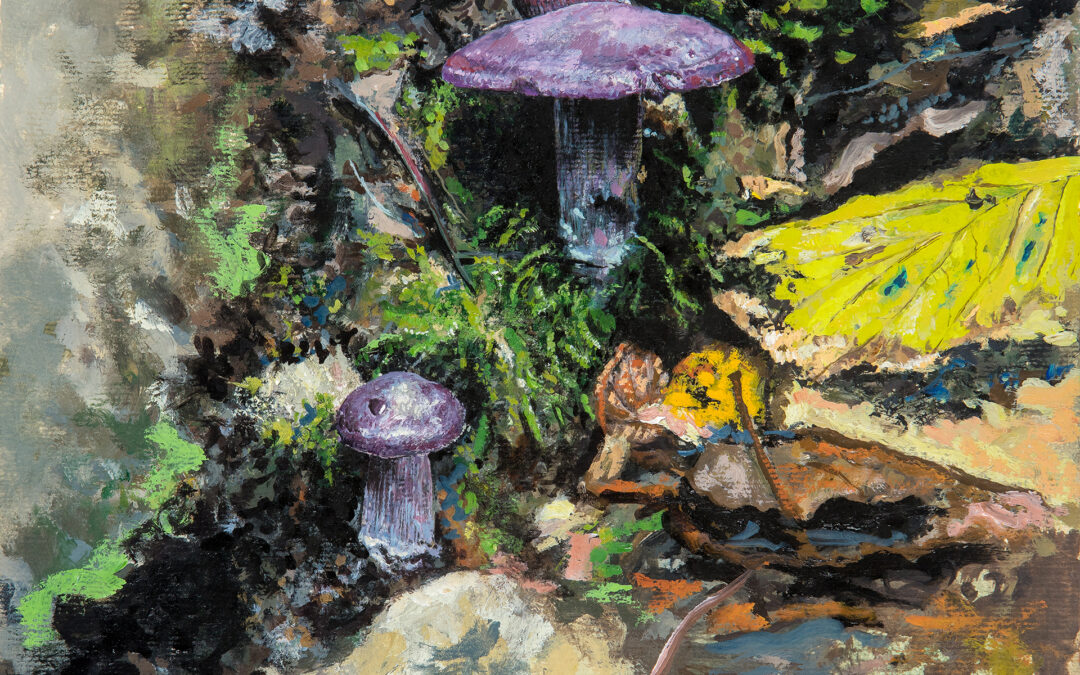 Amanita Purpureum por Miguel Tadeo