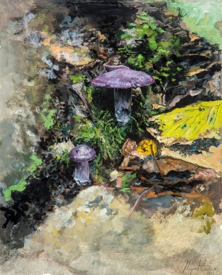 Miguel Tadeo. Amanita purpureum, 2021. Óleo sobre papel