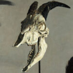 Miguel Tadeo. Vanitas personae-detalle1, 2022. Óleo sobre cartón