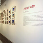 Miguel Tadeo Exposición Casa de Vacas La insoportable indiferencia. Lo abstracto